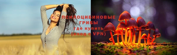 каннабис Аркадак