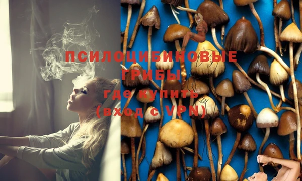 стаф Балахна